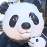 帰国直前のパンダ目当てに『アドベンチャーワールド』へ来たらまさかの大失態