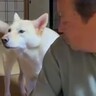おじいちゃんに『早く寝よう』としゃべりかける犬→想定外な『低音ボイス』が70万再生「ドスがきいてるｗ」「ギャップあって素敵」と絶賛