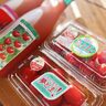 【熊本市南区】塩トマトがなんさま甘か！！吸血鬼もびっくり！？リピーター続出のトマト自販機「マルシェ・トマトマ」今年もオープンです！