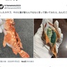 釣ったカサゴのお腹から人魚—幻想と不気味が交錯する立体アート