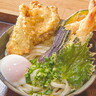 【新店】うどんの本場香川県で修業して生まれた出雲讃岐！ボリュームたっぷりの天ぷらも絶品！｜島根県出雲市