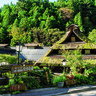 東京にこんな秘湯宿があるなんて！　檜原村の『たから荘』でいただく山の幸と十割そば