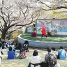 約120本のソメイヨシノが楽しめる「ふじおか桜まつり」が群馬県藤岡市の「ふじの咲く丘」で3月23日～4月7日開催