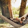 犬が『飼い主のお腹で寝る』心理4選　密着してくる本当の理由やくっついてもらう秘訣まで