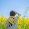 北海道滝川市に「幸せ色の黄色い絨毯」が出現