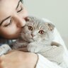 『猫が好きな人』によく見られる5つの傾向　インドア派、クール…あなたは当てはまる？