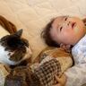 1年半ケージに引きこもっていた臆病な猫が赤ちゃんと…『驚きの光景』に感動が止まらないと7万再生「涙止まらず」「うるっときた」の声