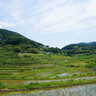 田舎の風景に癒される、岡山県の美しい棚田めぐり