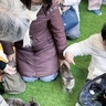 イエローハット新山下店　｢保護猫知って｣　譲渡会に約300人