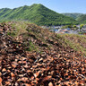 備前焼のふるさと「伊部南大窯跡」。巨大な窯と物原は唯一無二の光景！（備前市）