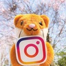 栄区役所　インスタグラムを開設　魅力を発信