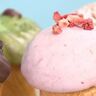 サクサクで濃厚…100日だけ食べられる「クロフィン」進化系スイーツの甘い幸せ