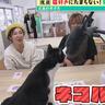 「広島の歩き方」vol.15前編