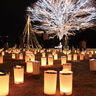 【長岡市・Xmas