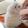 インフルエンザでダウン→『犬が心配してくれた』と思いきや…完全に間違っている『看病の仕方』が215万再生「見事に違うｗ」「幸せの重み」
