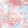 【兵庫・姫路周辺】おすすめ桜スポット14選！花見で春を満喫♪ライトアップ情報も(2024)