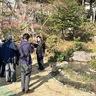 皆春荘が公開再開　庭園整備で往時の姿復元