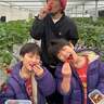 ココリコ・遠藤の妻「30分食べ放題」家族4人で100個以上食べたもの「夕方までお腹いっぱい」