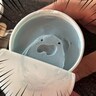 【無印】新作「チョコミント