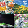 平日に行ける新潟イベント情報｜6/2(月)～6(金)