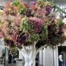 花の美術館がリニューアル「BOTANICA