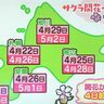 サクラ「満開」の基準は何？北海道内各地の開花・満開予想日　天気予報＆気象予報士解説／2025年4月22日更新