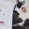 『長寿表彰状』をもらった猫…まさかの年齢に驚きが隠せないと377万表示突破「すごすぎる！！」「若々しくてビックリ！」と話題に