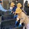 大鋸小学校　地域と共に祝う45周年　６年が藍染など体験