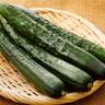 暑い日にぴったりだよ。ぜひやってみてほしい「きゅうり」の最高にウマい食べ方