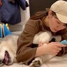 大型犬が寝ている隙に『爪切りと足裏カット』を強行した結果…文句が止まらない『攻防戦』が115万再生「ジタバタ可愛い」「良いコンビｗ」