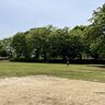 茨城県守谷市での子育て体験談。子育て支援情報や子育てにおすすめのエリアを紹介