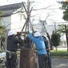 秋が深まる高田城址公園「ブロンズ像