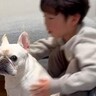 小さな男の子に『犬が他の犬にイジメられちゃった』と伝えた結果…イケメンすぎる『まさかの光景』が泣けると107万再生「最高の関係」と絶賛