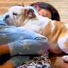 女の子がストーブの前で寝落ちしてしまったら、犬が…まさかの『絶対に離れまいと寄り添う光景』が87万再生「幸せな光景」「素敵すぎる」と称賛