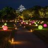 【8/1〜31】岡山後楽園夜間特別開園「夏の幻想庭園」・岡山城夜間特別開館「夏の烏城灯源郷」同時開催！幻想的な空間を楽しもう！