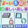 【熱中症の3～4割は住居で発症】来週は「厳しい蒸し暑さ」に…とるべき対策は　北海道の天気予報＆気象予報士解説／2025年6月13日更新