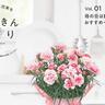 必見！5/11（日）「母の日」おすすめ花ベスト5！大切な人にとっておきの鉢花をプレゼントしよう！【一人一花はなきん便り】