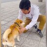 出張帰りのパパを犬と迎えに行った結果→久々の再会で『熱烈大歓迎』かと思ったら…予想外だった『まさかの光景』が55万再生「クールで草」