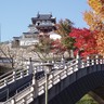 この秋は福知山市で紅葉を見ませんか？　注目の紅葉スポットを4つ紹介