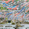 「杖立温泉鯉のぼり祭り」が博多駅にやってくる！屋上「つばめの杜ひろば」で開催！4月26日（金）～5月6日（月・祝）
