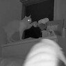 ４時台に起きる猫をモニタリング→飼い主を起こそうとして…『寝不足不可避な嫌がらせの数々』が48万再生「あらゆる手を使ってｗ」「賢い」