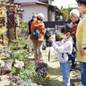 いつもの街を花さんぽ　ボランティア団体が企画