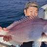 沖の五目ジギング釣行でマダイにブリにヒラメと多彩魚種キャッチ成功！【福岡・喜代丸】