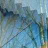 作品展｢ひかりのかたち｣　14日から　丹沢美術館