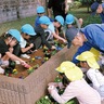 藤が谷公園愛護会