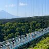 富士山が眺められる