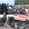 【2025年がスタート】新潟県内各地の元日の様子、初日の出・初詣・初売り・元旦マラソン