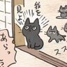 求めてるハードルが高い!?　気配＋圧で伝わると信じている猫【猫マンガ】ねこ連れ草