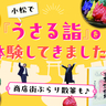 【小松】菟と猿の縁結び神社をお参りする「うさる詣」で開運祈願してきました！商店街で文化体験も満喫♪