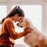 犬に日頃の『感謝』を伝えることはできる？飼い主が思う愛犬に伝えたい言葉3つとは